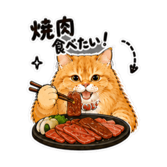 Johnny_20260509002854