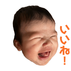 Kanako_20260509013017