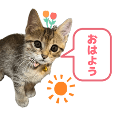 Kuuu Miii_20260509164032