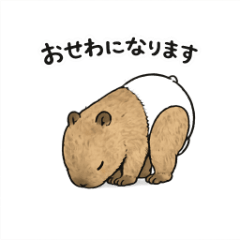 Diaper capybara 40 pieces 1