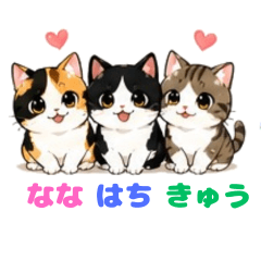 Our 3 Cats  Everyday Chats