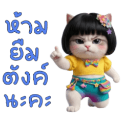 Little Cat with Chubby Cheeks 2