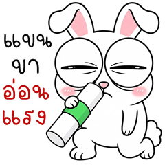 Big-Eyed Bunny (THAI)