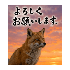 mito333_20260508220922