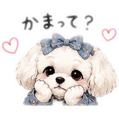 GALkiki