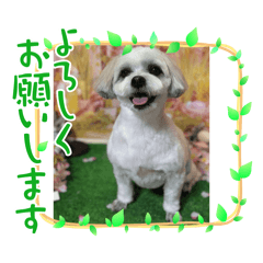 ken_20260508221425