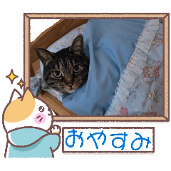nannmon_20260508225359