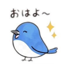 kurumin_20260508221338