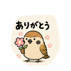 fumiyo_20260508231107