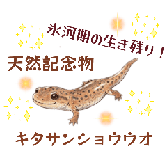 Cocoro_20260509024831