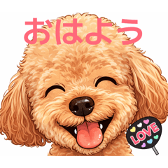 asa872900_20260509171348