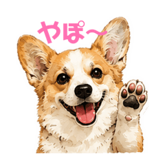 sachi_20260509173536