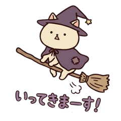 Adorable Wizard Cat