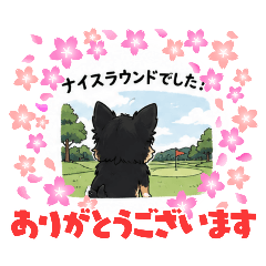 kotetsu_20260509173926
