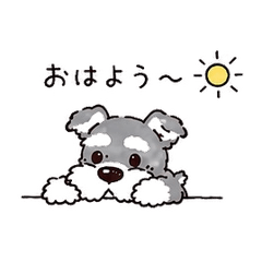 Cute Schnauzer Daily Sticker