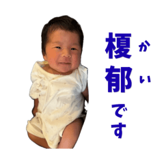 yaha_20260509173801