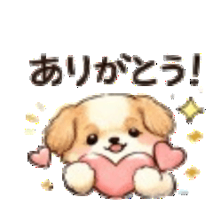 Chill Shih Tzu