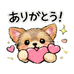 Chill Yorkshire Terrier