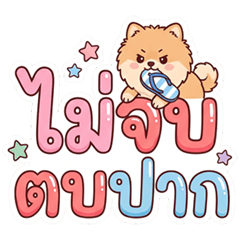 น้องปอม คำโต