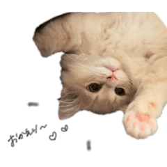 otankonachu_20260427232756