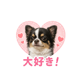 Chi2027.1