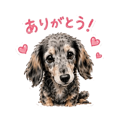 silverdappl umekichi