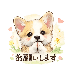 corgi cute character