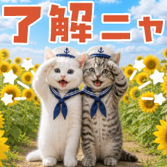 Pop-up! Realistic Cat Stickers (Summer)