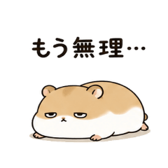 naka_20260509041508