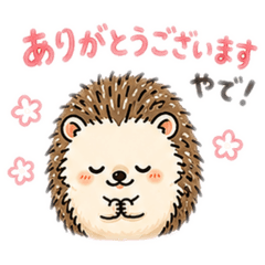 japanese Hedgehog !
