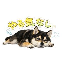 Riku Ishikawa_20260509180501