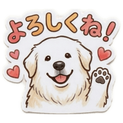 shachi_20260506232553