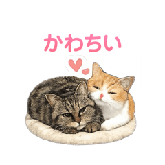YUU_20260508231537