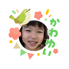 HOTANP_20260509064522