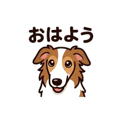 Borzoi  Daily life