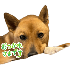 abc123_20260509064835