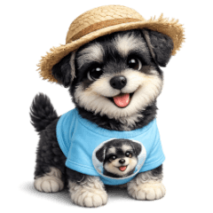 Mickey's (Schnauzer) Summer Vacation 2