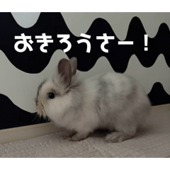 MILK_20260509070501