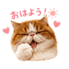 malon_20260509063711