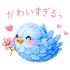 aoitori_ruan