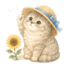 Coco_20260509182007