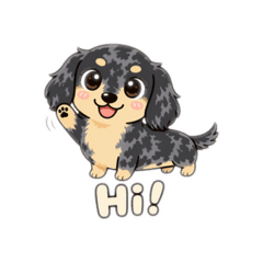 Miniature Dachshund Factory Vol. 1