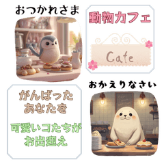 Welcome to the Animal Cafe
