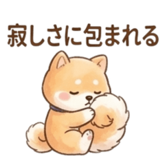 Lucky the Mame-Shiba: Needy & Lonely