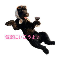 Mid_20260509091514