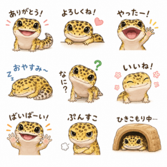 Fluffy Leopard Gecko Daily Life