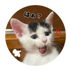 大福くんすたんぷ。
