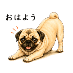 Daily Fawn Pug Kinako -Greetings-