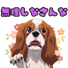 Cavalier Stickers for Every Mood