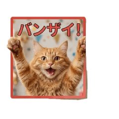 a happy orange tabby
